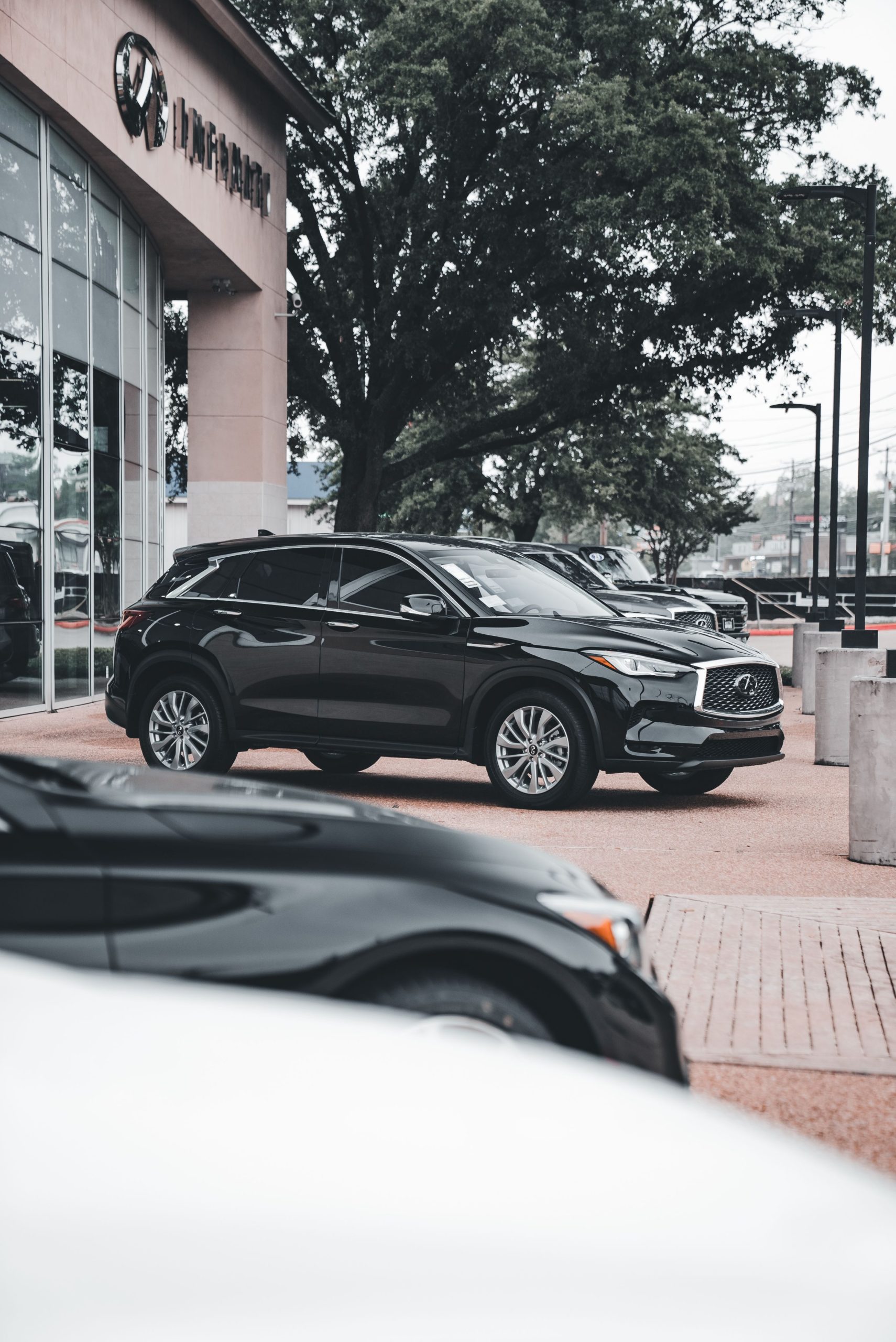 Teen looking at a car at a dealership
