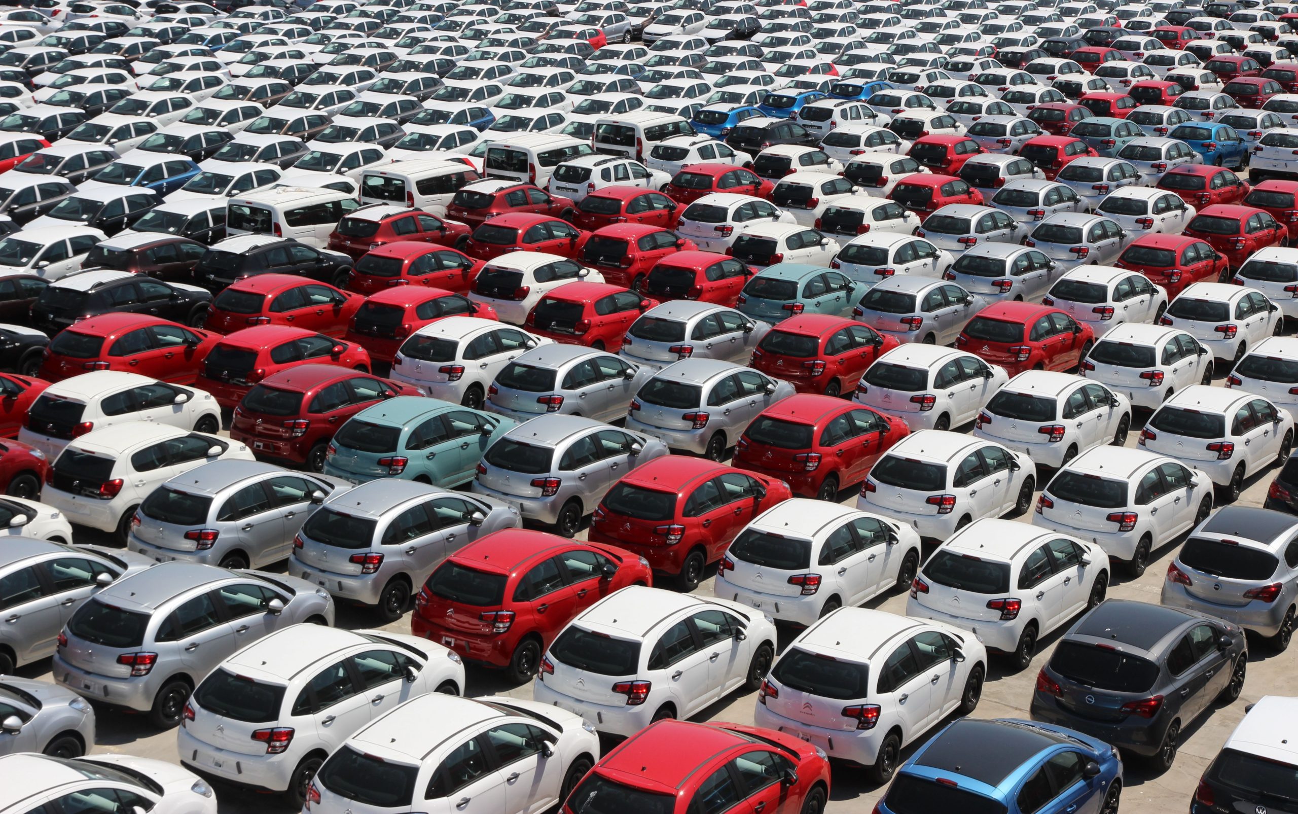 Young driver at a car lot